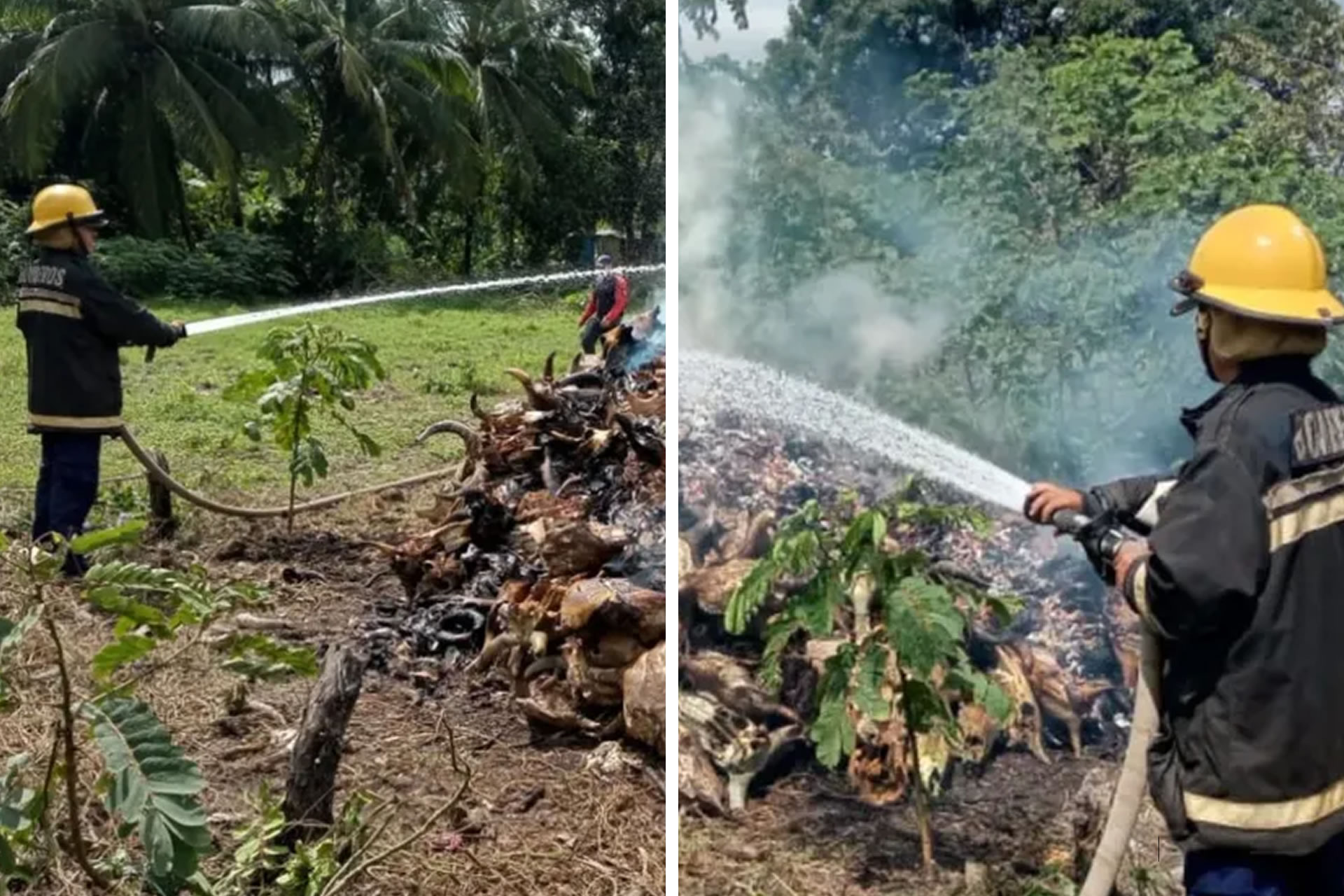 Bomberos extinguen un Incendio de Vegetación en la Parroquia ...